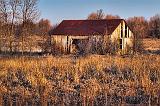 Old Barn In A Field_07716
